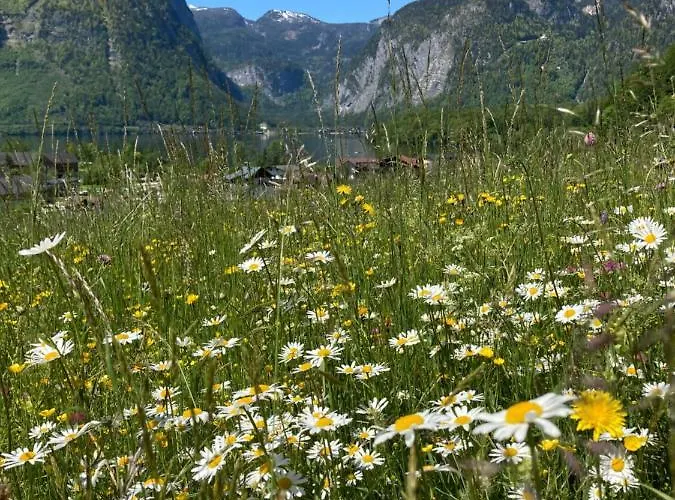 Διαμέρισμα Stadler Όμπερτραουν