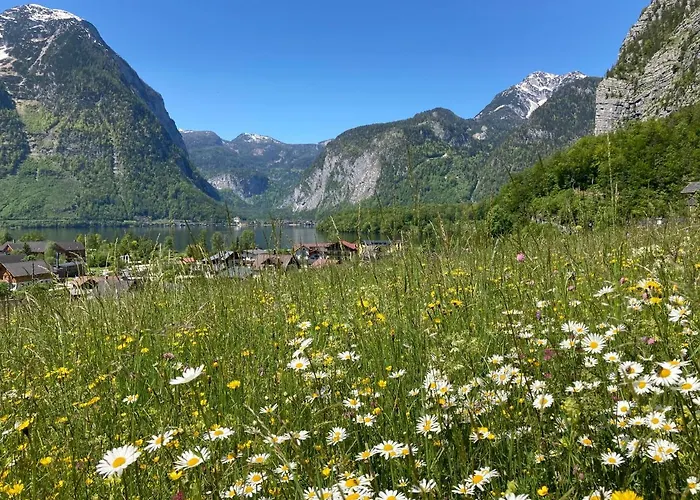 Stadler Διαμέρισμα *