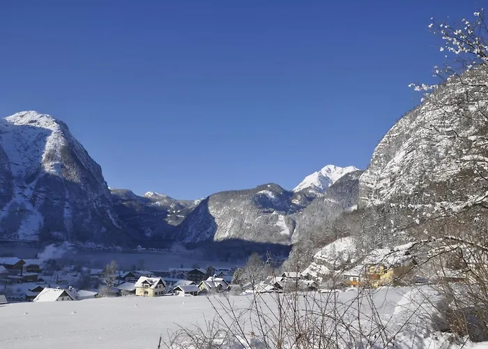 Apartment Stadler Obertraun