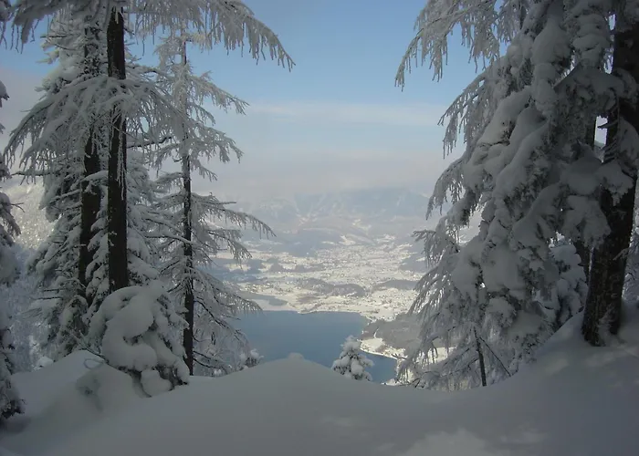 Διαμέρισμα Stadler Όμπερτραουν