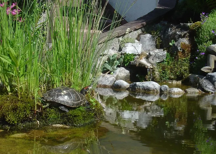 Stadler Όμπερτραουν