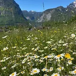 Appartamento Stadler Obertraun