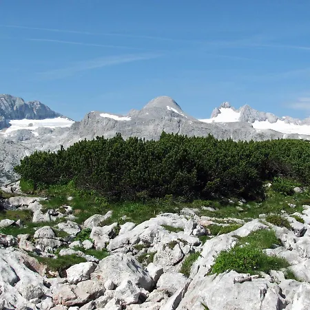 Stadler Apartman Obertraun