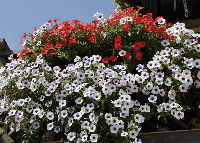 Daire Stadler Obertraun