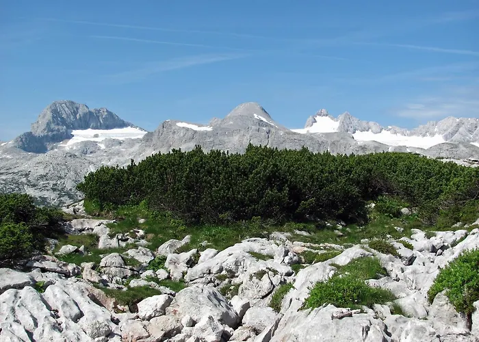 Stadler Daire Obertraun